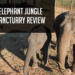 elephant jungle sanctuary review chiang mai thailand